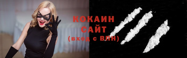 Альфа ПВП Няндома