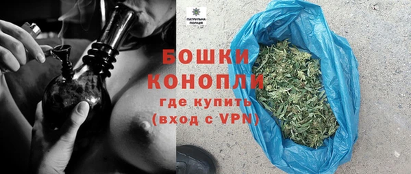 PSILOCYBIN Новодвинск