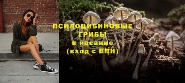 альфа пвп Новозыбков