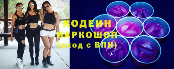 Альфа ПВП Няндома