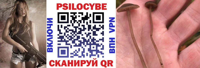 Галлюциногенные грибы ЛСД Эртиль