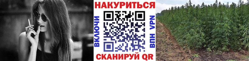 закладки  Эртиль  МЕГА как войти  Шишки марихуана LSD WEED 